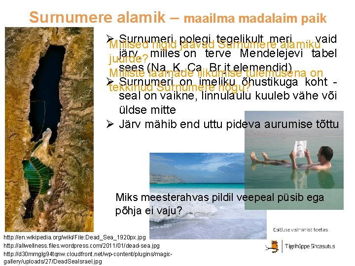 Surnumere alamik – maailma madalaim paik Ø Surnumeri polegi tegelikult meri … vaid Millised