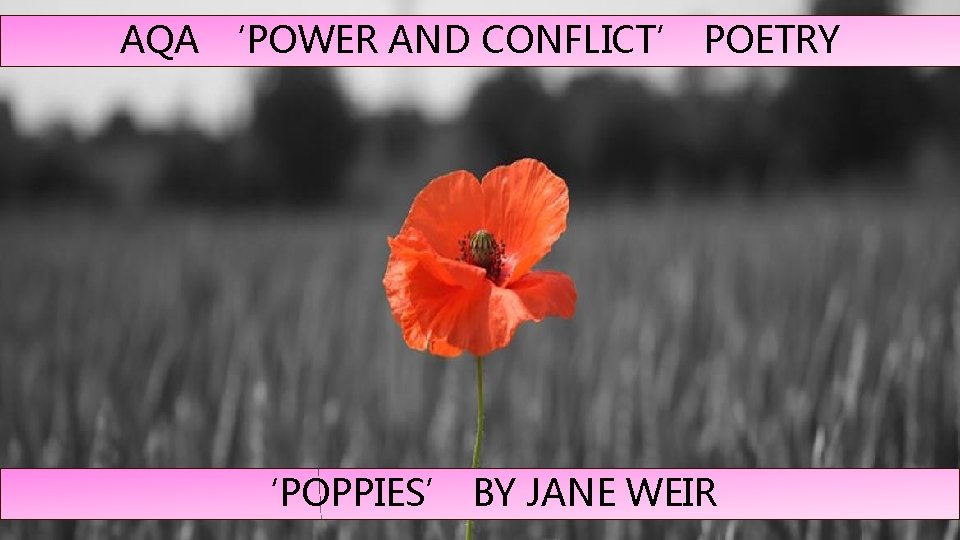 AQA ‘POWER AND CONFLICT’ POETRY ‘POPPIES’ BY JANE WEIR 