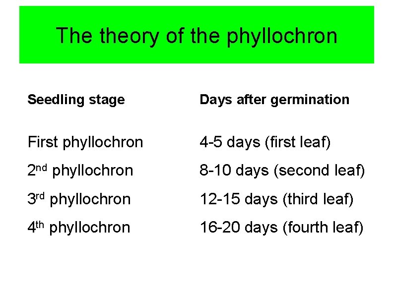 The theory of the phyllochron Seedling stage Days after germination First phyllochron 4 -5