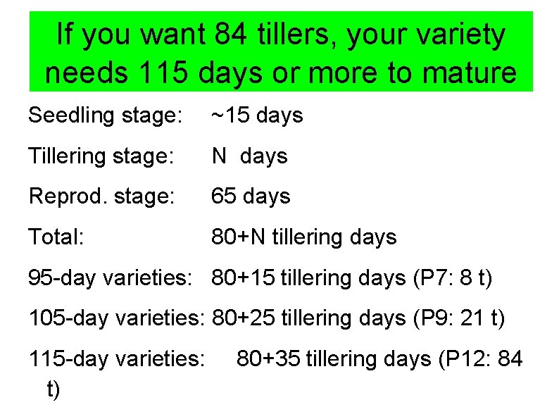 If you want 84 tillers, your variety Short- or long-maturity seeds? needs 115 days