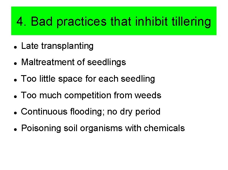 4. Bad practices that inhibit tillering Late transplanting Maltreatment of seedlings Too little space