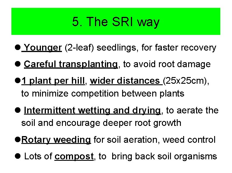 5. The SRI way Younger (2 -leaf) seedlings, for faster recovery Careful transplanting, to