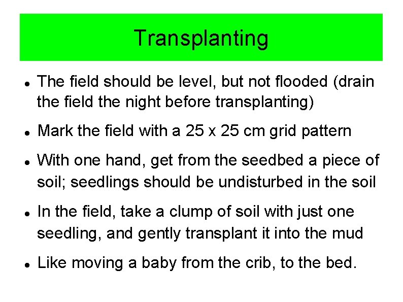 Transplanting The field should be level, but not flooded (drain the field the night