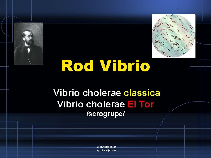 Rod Vibrio cholerae classica Vibrio cholerae El Tor /serogrupe/ alen vukelić, dr /prof. savjetnik/