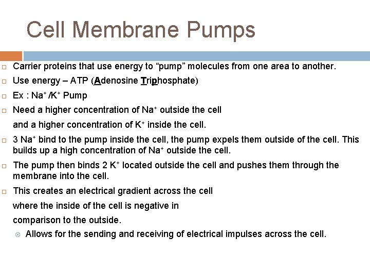 Cell Membrane Pumps ¨ Carrier proteins that use energy to “pump” molecules from one