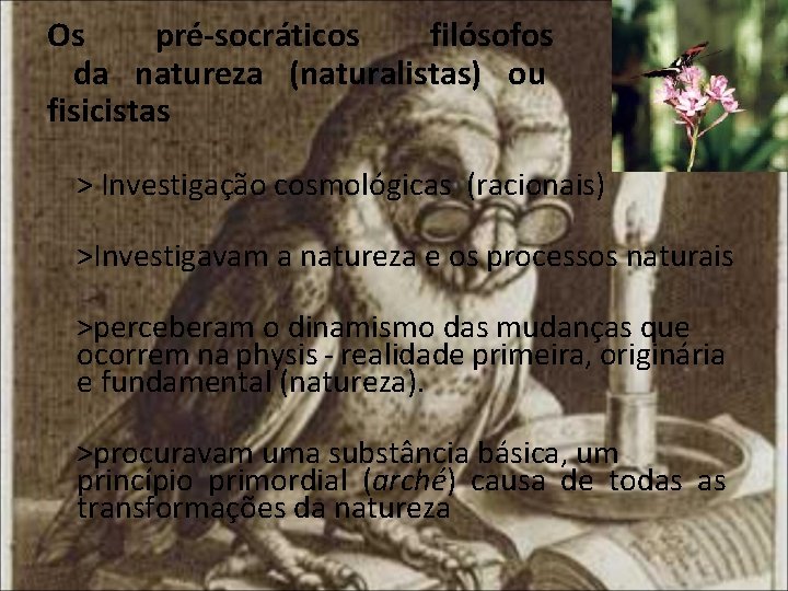 Os pré-socráticos filósofos da natureza (naturalistas) ou fisicistas > Investigação cosmológicas (racionais) >Investigavam a