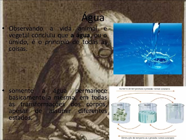 Água • Observando a vida animal e vegetal concluiu que a água, ou o