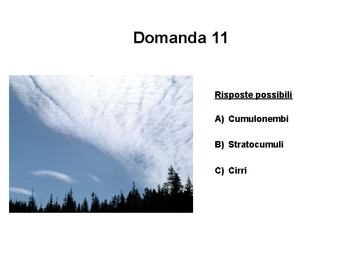 Domanda 11 Risposte possibili A) Cumulonembi B) Stratocumuli C) Cirri 