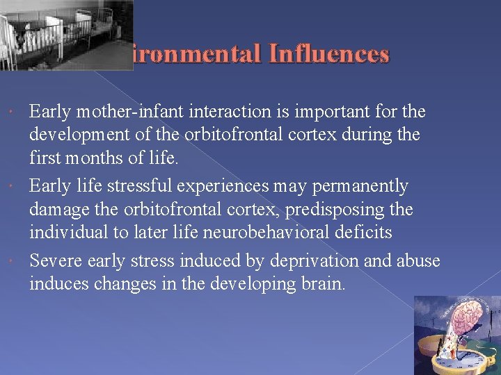 Neuroscience Update Executive Functions Dyslexia DTI Vincent P