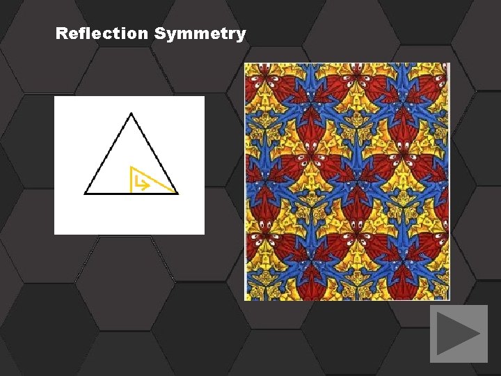 Reflection Symmetry 