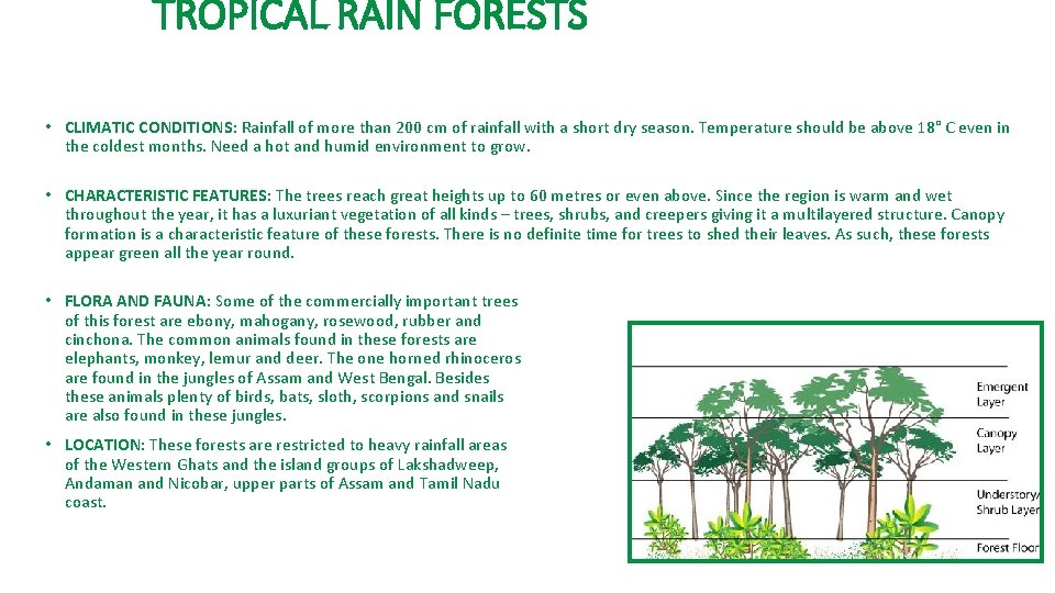 TROPICAL RAIN FORESTS • CLIMATIC CONDITIONS: Rainfall of more than 200 cm of rainfall