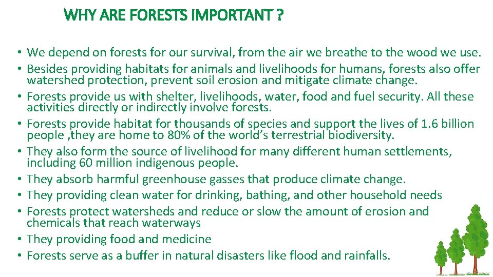 WHY ARE FORESTS IMPORTANT ? • We depend on forests for our survival, from