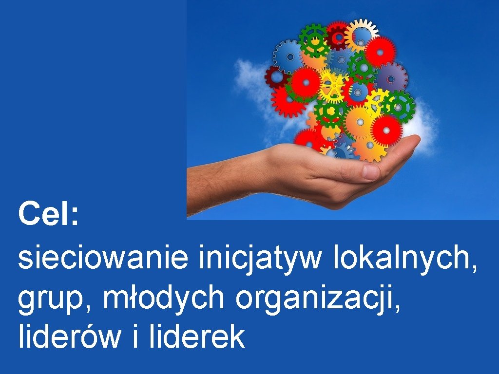 Cel: sieciowanie inicjatyw lokalnych, grup, młodych organizacji, liderów i liderek Cel: sieciowanie inicjatyw lokalnych, grup, młodych organizacji, liderów i liderek