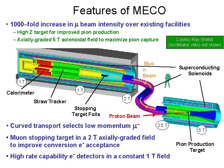 Features of MECO • 1000–fold increase in m beam intensity over existing facilities –