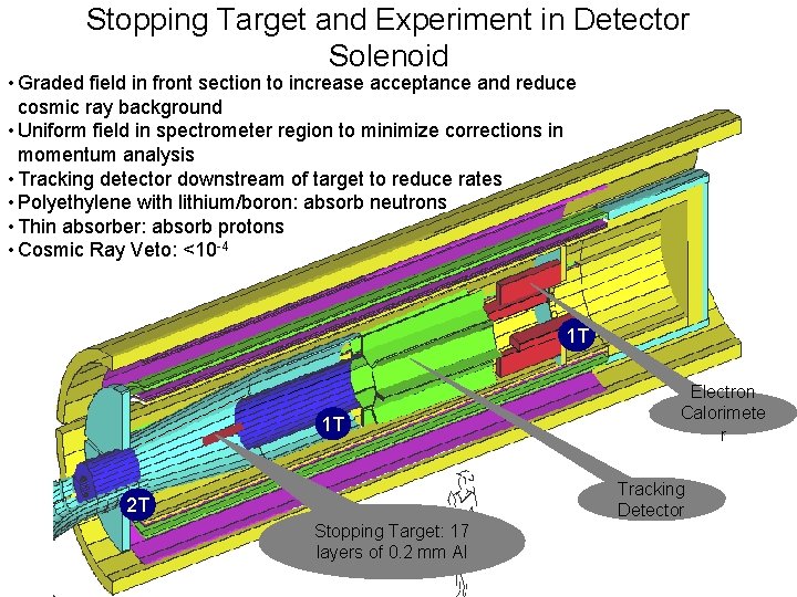 Stopping Target and Experiment in Detector Solenoid • Graded field in front section to