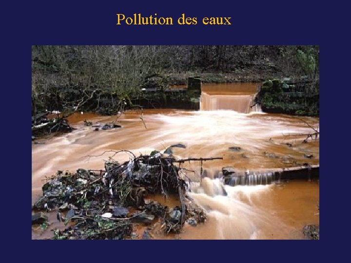 Pollution des eaux 