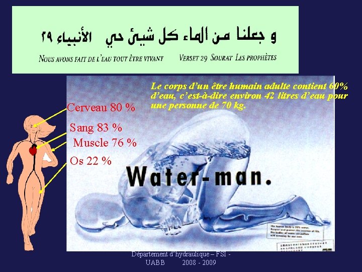 Cerveau 80 % Le corps d’un être humain adulte contient 60% d’eau, c’est-à-dire environ