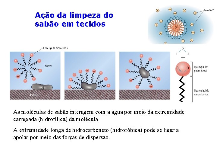 Ação da limpeza do sabão em tecidos As moléculas de sabão interagem com a