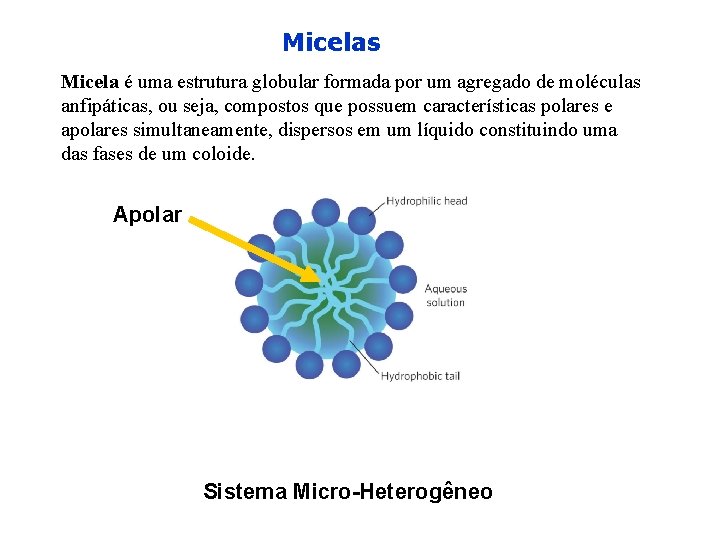 Micelas Micela é uma estrutura globular formada por um agregado de moléculas anfipáticas, ou