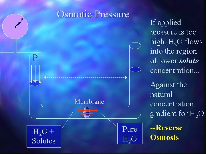 Osmotic Pressure P P Against the natural concentration gradient for H 2 O. Membrane