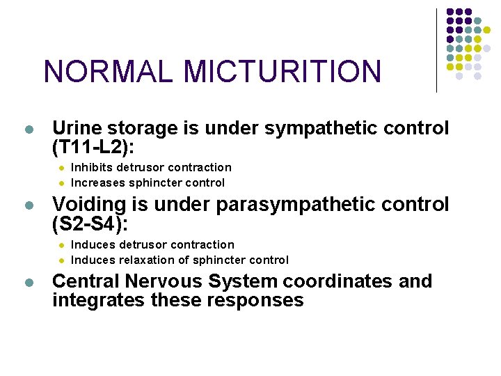 NORMAL MICTURITION l Urine storage is under sympathetic control (T 11 -L 2): l