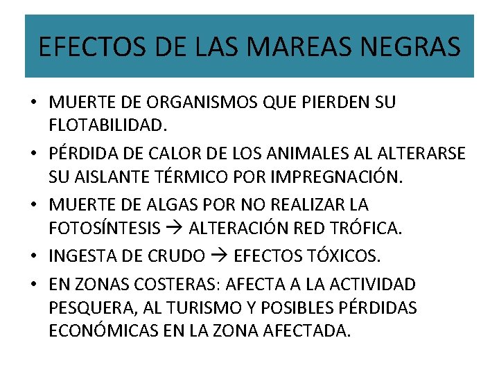 EFECTOS DE LAS MAREAS NEGRAS • MUERTE DE ORGANISMOS QUE PIERDEN SU FLOTABILIDAD. •