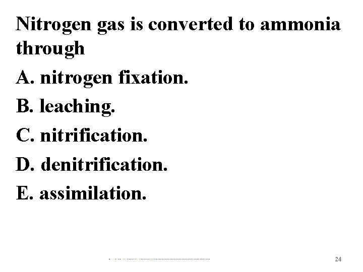 Nitrogen gas is converted to ammonia through A. nitrogen fixation. B. leaching. C. nitrification.