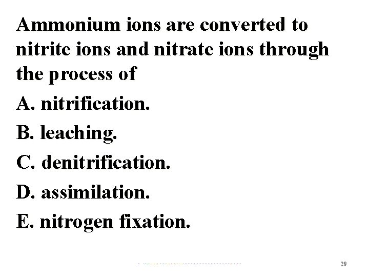 Ammonium ions are converted to nitrite ions and nitrate ions through the process of