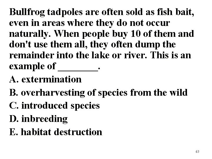 Bullfrog tadpoles are often sold as fish bait, even in areas where they do