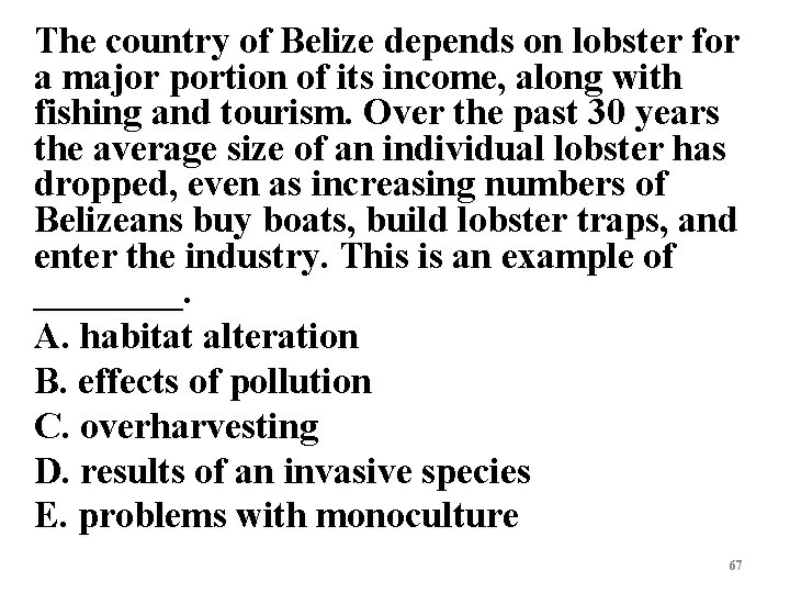 The country of Belize depends on lobster for a major portion of its income,