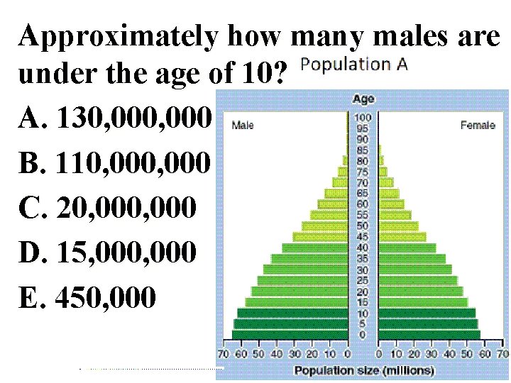 Approximately how many males are under the age of 10? A. 130, 000 B.