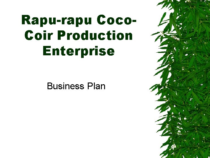 Rapu-rapu Coco. Coir Production Enterprise Business Plan 