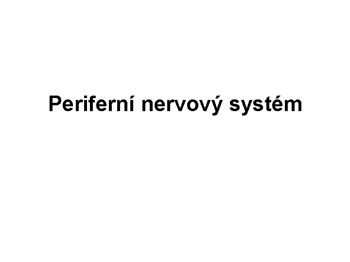 Periferní nervový systém 