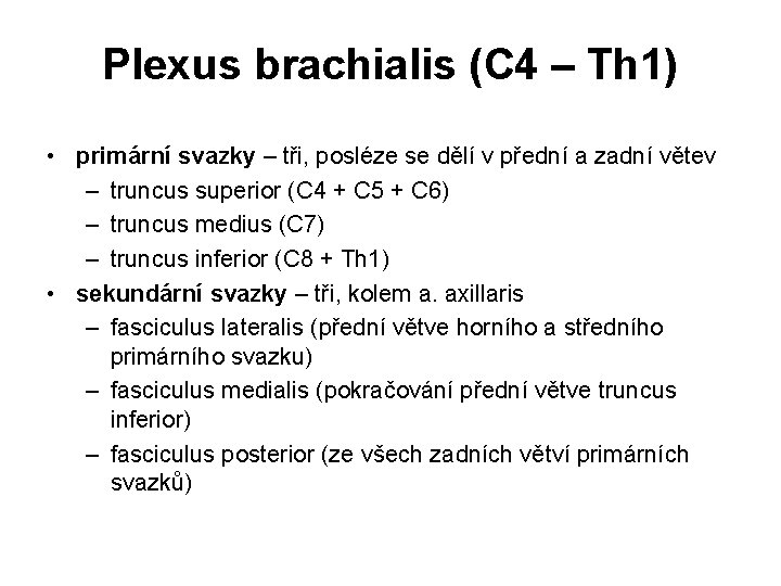 Plexus brachialis (C 4 – Th 1) • primární svazky – tři, posléze se