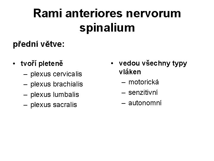 Rami anteriores nervorum spinalium přední větve: • tvoří pleteně – plexus cervicalis – plexus