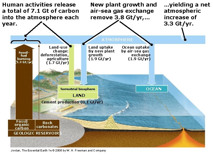 Human activities release a total of 7. 1 Gt of carbon into the atmosphere