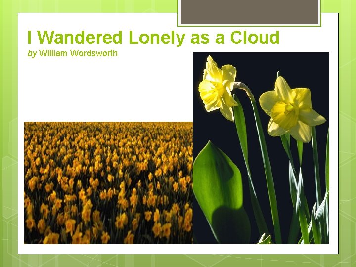I Wandered Lonely as a Cloud by William Wordsworth 