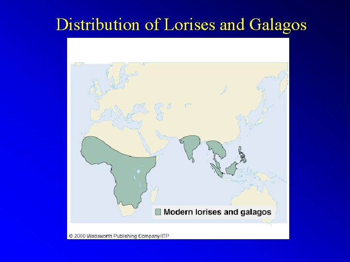 Distribution of Lorises and Galagos 