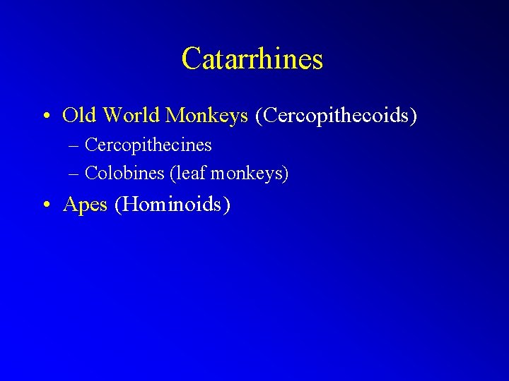 Catarrhines • Old World Monkeys (Cercopithecoids) – Cercopithecines – Colobines (leaf monkeys) • Apes