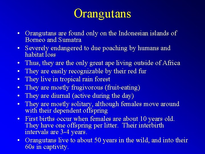 Orangutans • Orangutans are found only on the Indonesian islands of Borneo and Sumatra