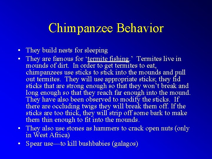 Chimpanzee Behavior • They build nests for sleeping • They are famous for ‘termite