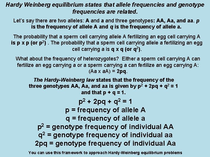 Hardy Weinberg equilibrium states that allele frequencies and genotype frequencies are related. Let’s say