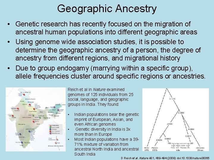 Geographic Ancestry • Genetic research has recently focused on the migration of ancestral human