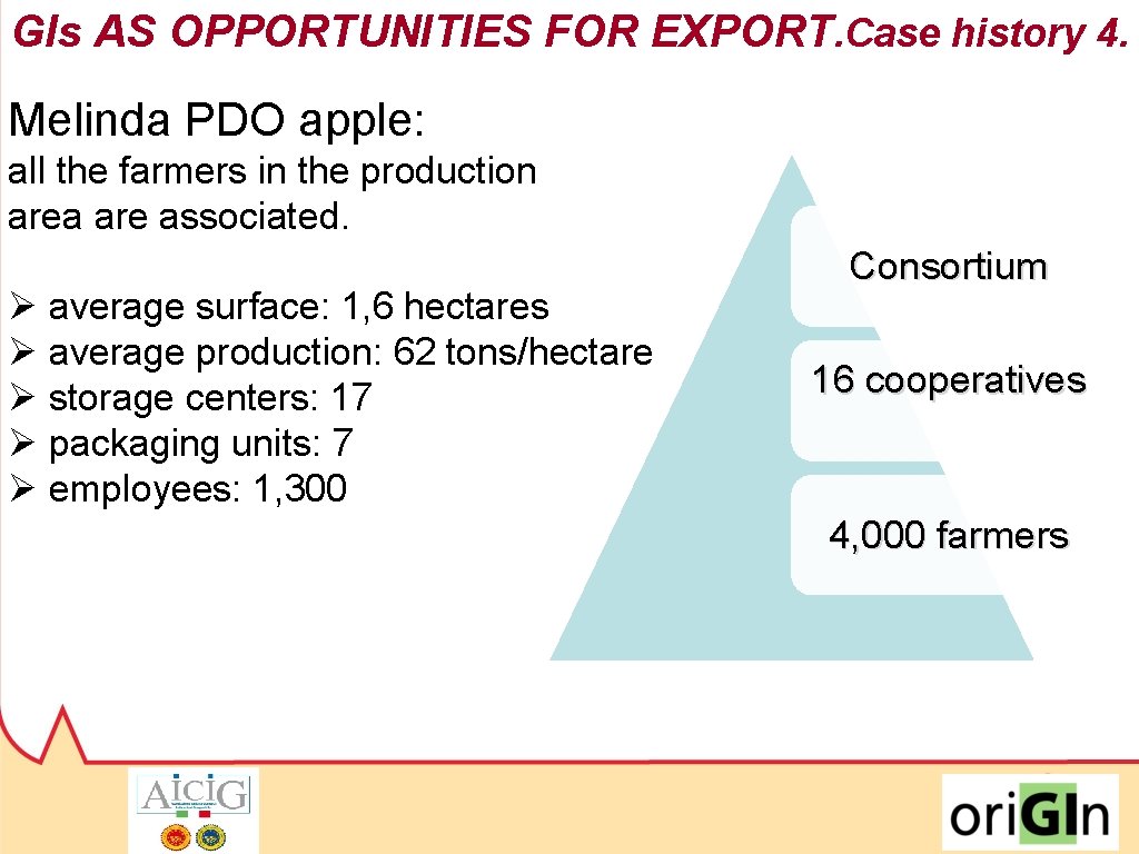 GIs AS OPPORTUNITIES FOR EXPORT. Case history 4. Melinda PDO apple: all the farmers