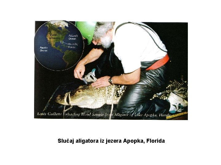 Slučaj aligatora iz jezera Apopka, Florida 