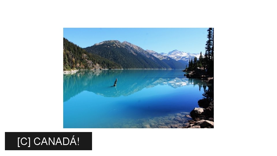 [C] CANADÁ! 