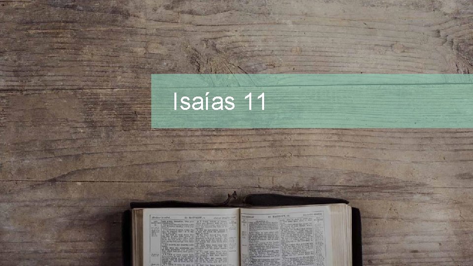 Isaías 11 