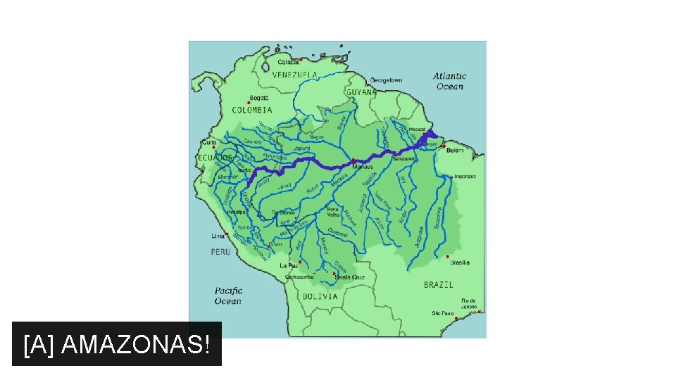 [A] AMAZONAS! 
