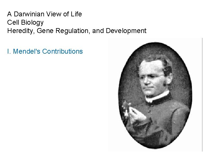 A Darwinian View of Life Cell Biology Heredity, Gene Regulation, and Development I. Mendel's