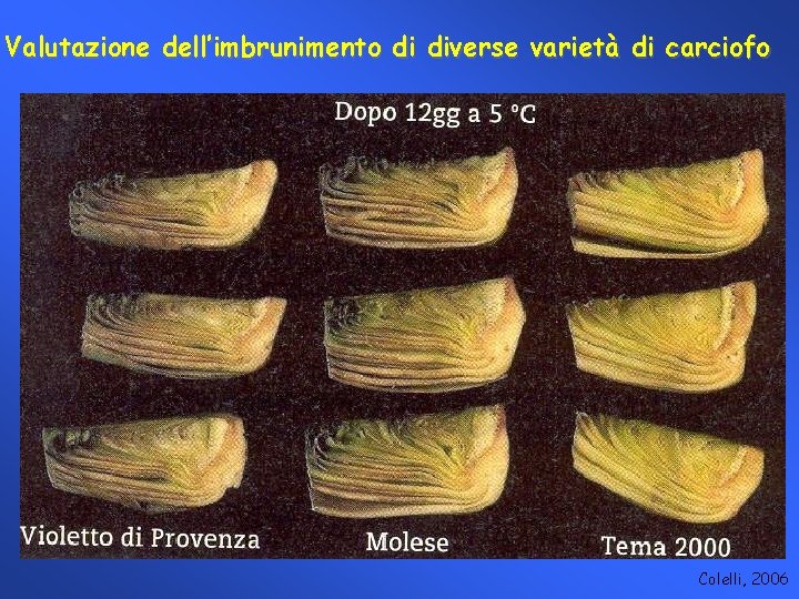 Valutazione dell’imbrunimento di diverse varietà di carciofo Colelli, 2006 